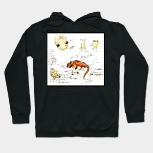 Salamander Scientific Journal Hoodie